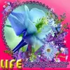 Denise Garrison - @denise.garrison1 - TikTok