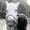Denise Gibbs - @denisegibbs22 - TikTok