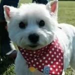 Denise Gibbs - @gibbs.98 - Instagram