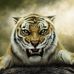 Denise Gilmore - Facebook
