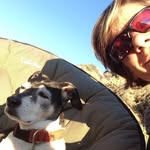 Denise Gilroy - @denisegilroyart - Instagram
