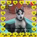 Denise Goddard - Facebook