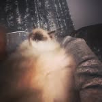 Denise Glendinning Gorman - @gormandenise - Instagram
