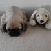 Denise Granger - Facebook