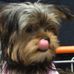 Denise Greco - Facebook
