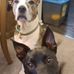 Denise Greco - Facebook
