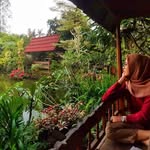 Denise Grenier - @follomahzon - Instagram
