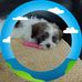 Denise Grigg - Facebook