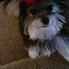 Denise Griggs698 - @denisegriggs1 - TikTok
