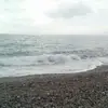 denisegrillo146 - @denisegrillo146 - TikTok