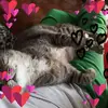 denisegrillo379 - @denisegrillo379 - TikTok