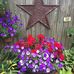 Denise Grinder - Facebook