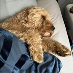 Denise Grosset - @denise.grosset - Instagram