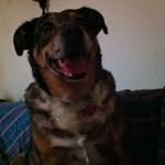 Denise Gustafson - @gustafson5648 - Instagram