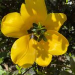 Denise Gustafson - @myfabfour - Instagram