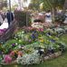 Denise Gutteridge - Facebook