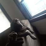 Denise Guzzo - @dguzzo24 - Instagram