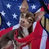 deniseguzzo1 - @deniseguzzo1 - TikTok