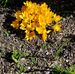 Denise Hackenberg - Facebook