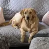 denise hackett - @denise.hackett - TikTok