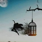 Denise Hade - Facebook