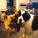 Denise Davis Hahn - @denise.d.hahn - Instagram