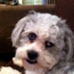 Denise Hahn Cooper - @dhcooper711 - Instagram