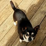 Denise Hamrick Crowe - @denisecrowe55 - Instagram