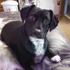 Denise Harkness579 - @deniseharkness579 - TikTok