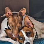 Denise Harper - @clogus62 - Instagram