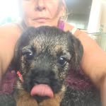 Denise Harper - @deniseharper714 - Instagram