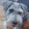 DeniseHarper - @nellamzdx2a - TikTok