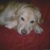 Denise Haskell - Facebook