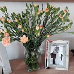 Denise Haskell - @haskellde2 - Instagram