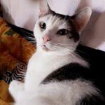 Denise Von Hausen - @denisevonhausen - Instagram