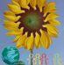 Denise Herrick - Facebook