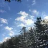 denisehedge182 - @denisehedge182 - TikTok