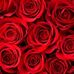 Denise Hedrick - Facebook