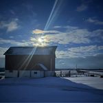 Denise Hedrick Mulvaney - @denisehedrickmulvaney - Instagram