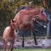 Denise Heinley - Facebook