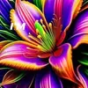 deniseheins - @deniseheins - TikTok