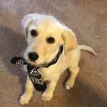 Denise Heiskell - @utahmountians - Instagram