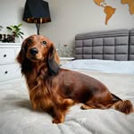 Denise Held - @caszgledin0 - Instagram