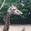 Denise Hendrix - @denisehendrix17 - TikTok
