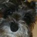 Denise Herrick - Facebook