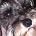 Denise Herrick - Facebook