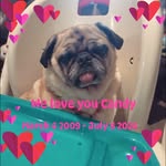 Denise Holder - @dholder78 - Instagram