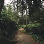Denise Holder - @zioomakl - Instagram