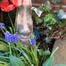 Denise Holliday - Facebook