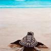 deniseholliday577 - @deniseholliday577 - TikTok